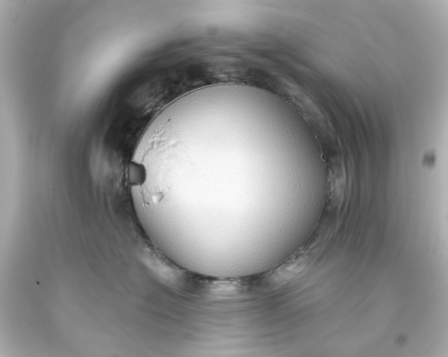 X0000093560574200710291021