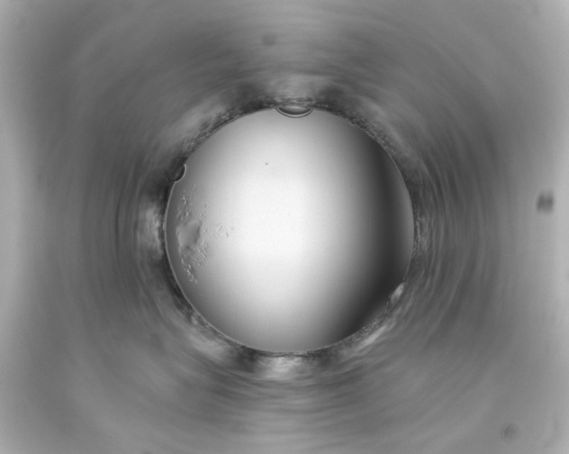 X0000093560575200710291021