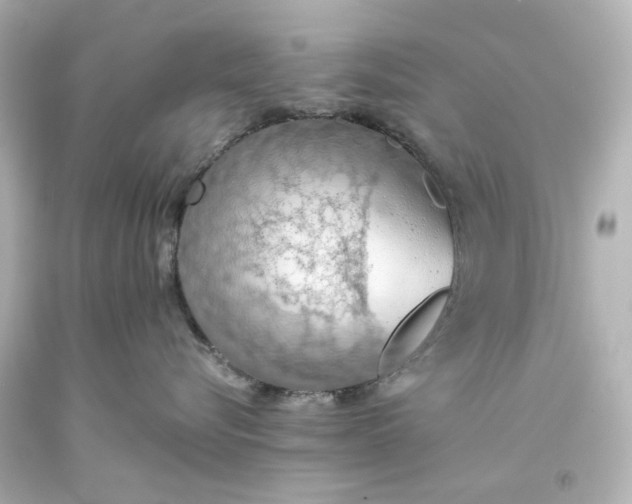 X0000093560576200710291021