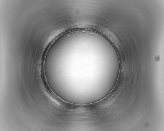 X0000093560578200710291021