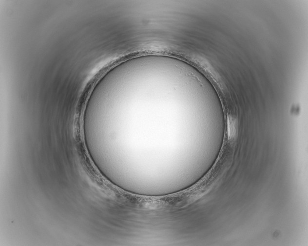 X0000093560579200710291021