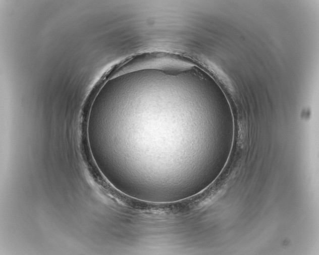 X0000093560580200710291021