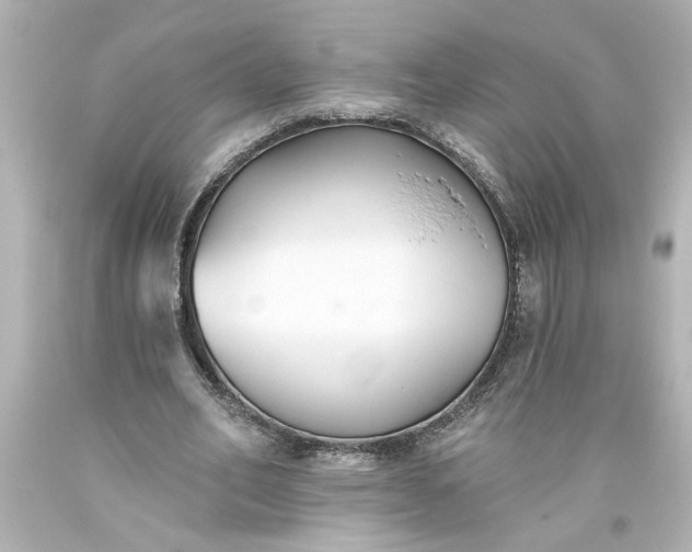 X0000093560582200710291021