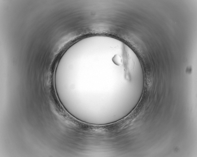 X0000093560583200710291021