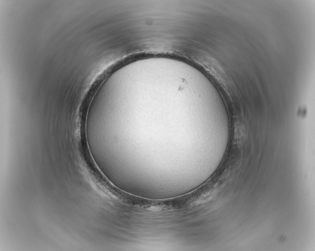 X0000093560584200710291021