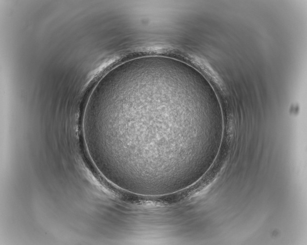 X0000093560585200710291021