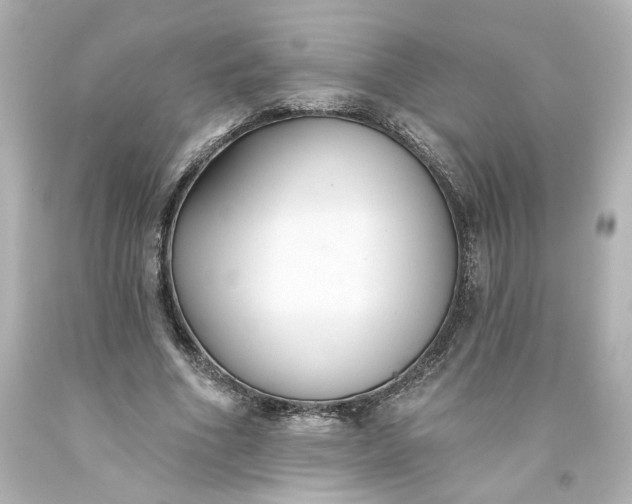 X0000093560586200710291021