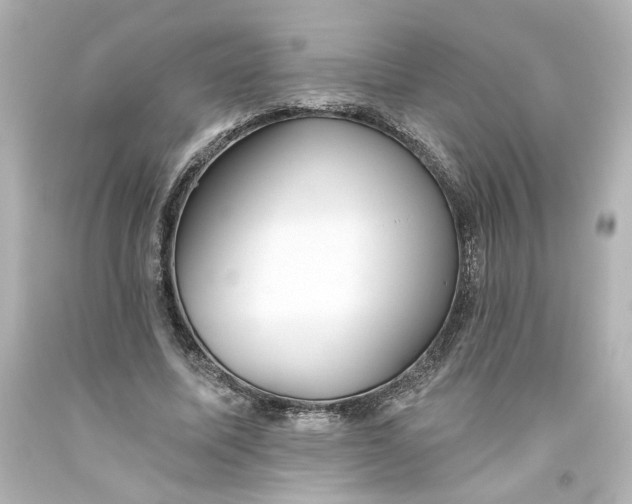 X0000093560587200710291021