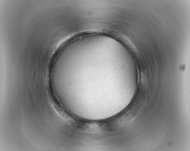 X0000093560588200710291021