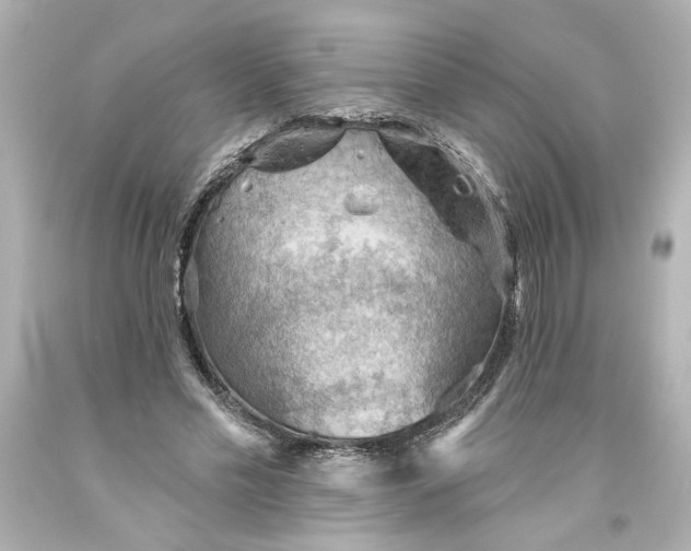 X0000093560589200710291021