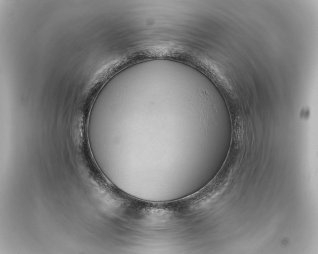 X0000093560590200710291021