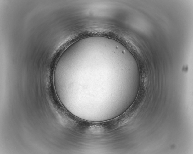 X0000093560591200710291021