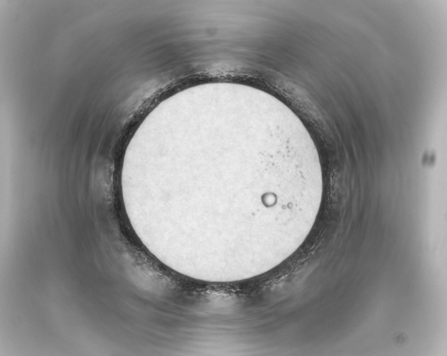 X0000093560592200710291021