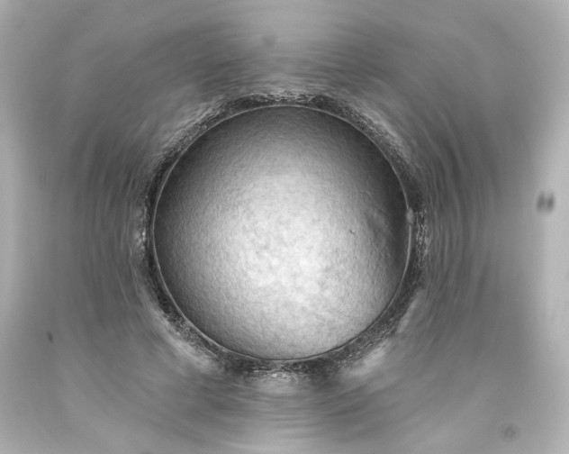 X0000093560593200710291021