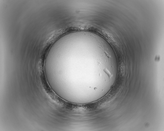 X0000093560594200710291021