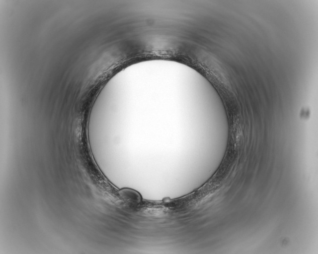 X0000093560595200710291021