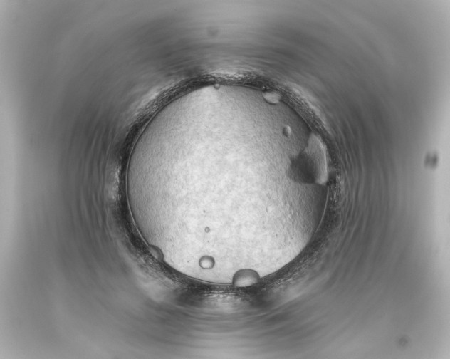 X0000093560596200710291021