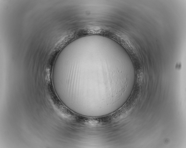 X0000093560598200710291020