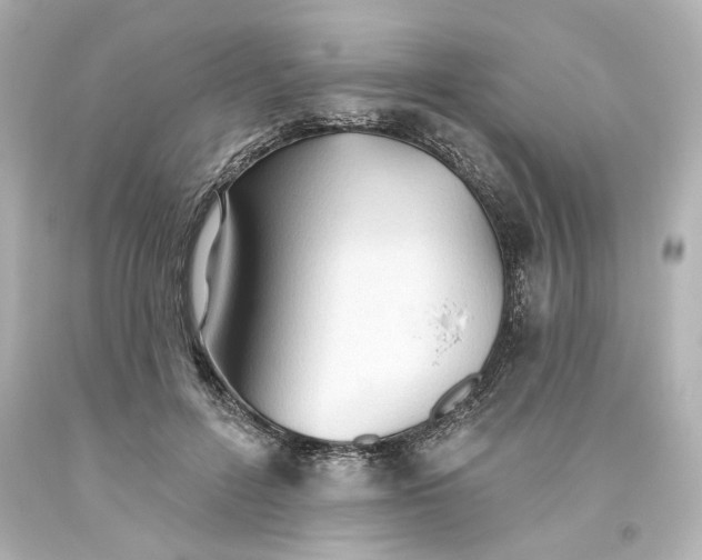 X0000093560600200710291020