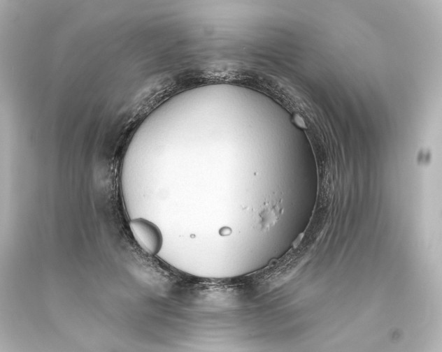 X0000093560601200710291020