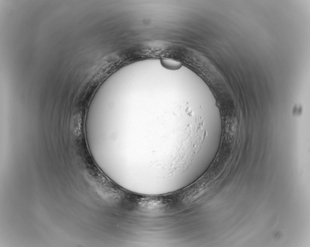 X0000093560602200710291020