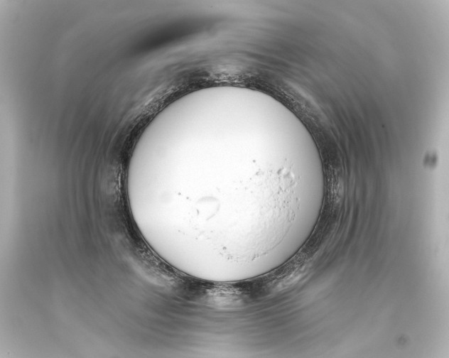 X0000093560603200710291020