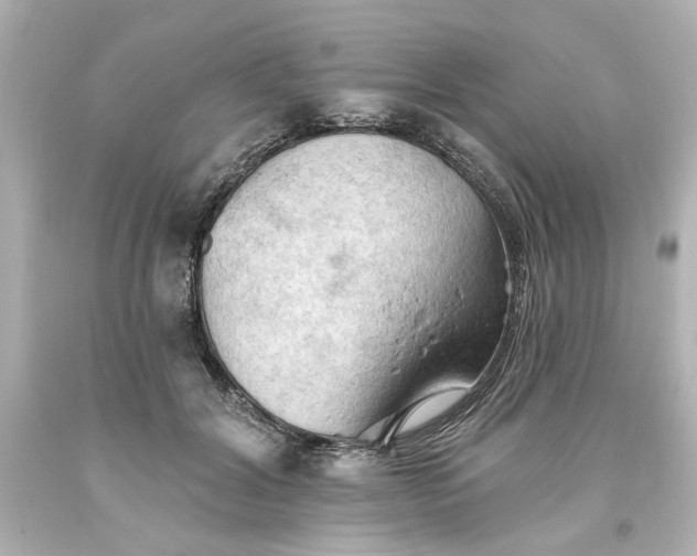 X0000093560604200710291020