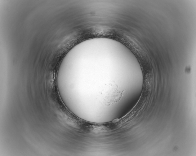 X0000093560605200710291020