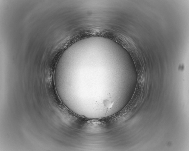 X0000093560607200710291020