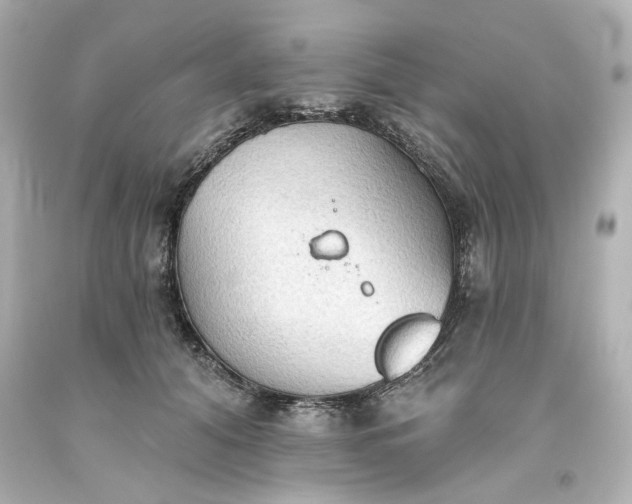 X0000093560608200710291020