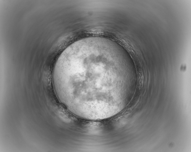 X0000093560609200710291020