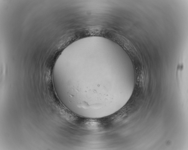 X0000093560610200710291020