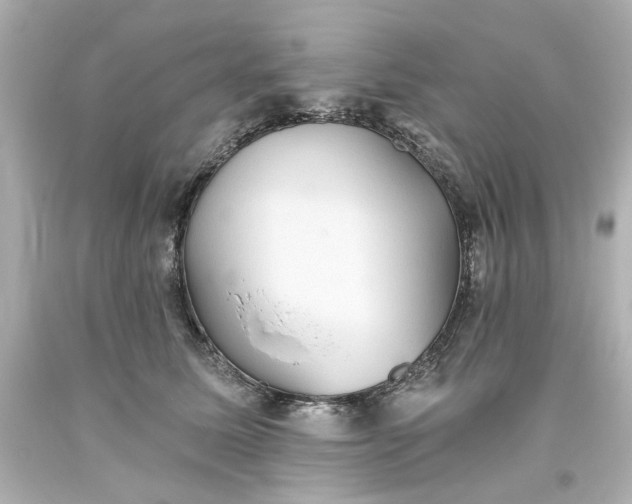 X0000093560611200710291020