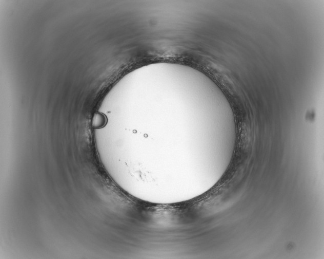 X0000093560612200710291020