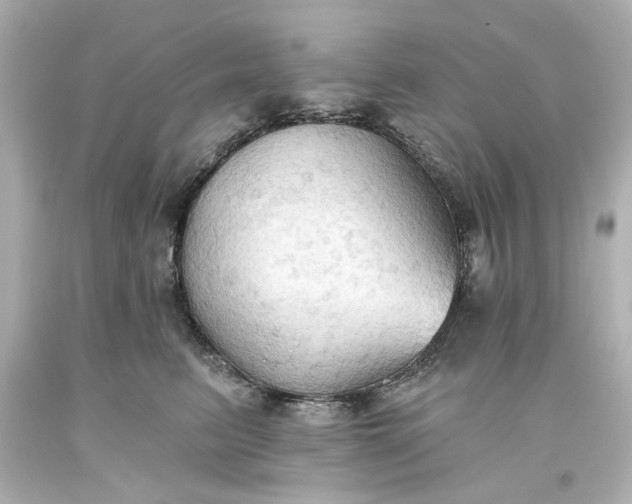 X0000093560615200710291020