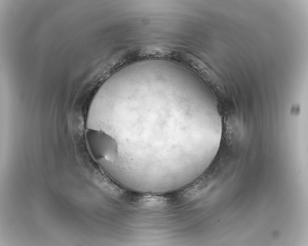 X0000093560617200710291020