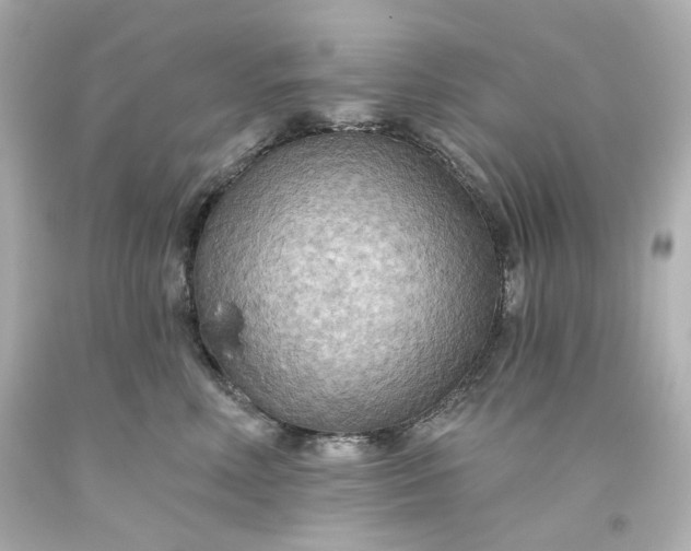 X0000093560618200710291020