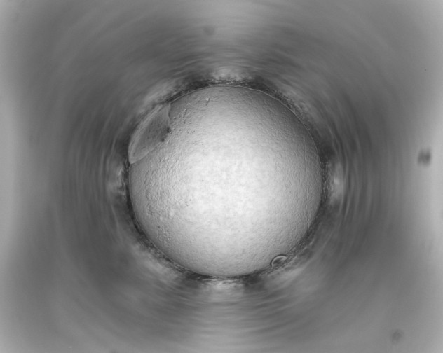 X0000093560619200710291020