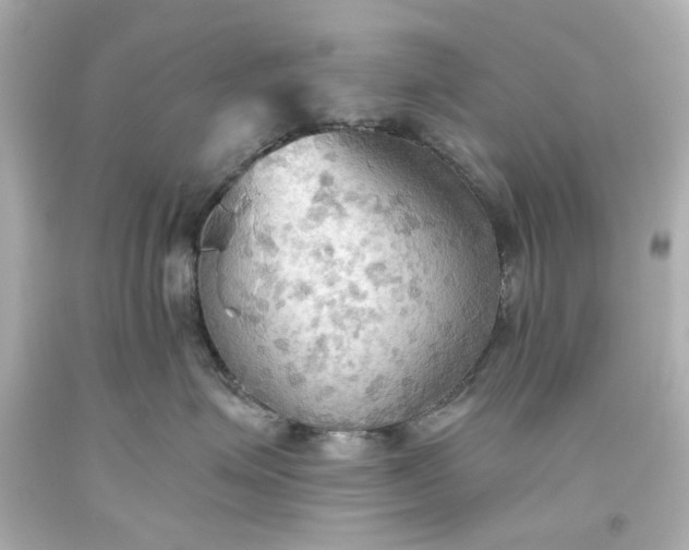 X0000093560623200710291020