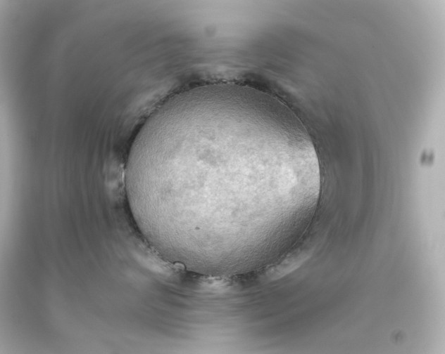 X0000093560624200710291020