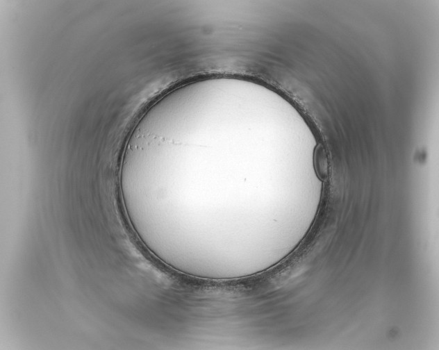 X0000093560625200710291020