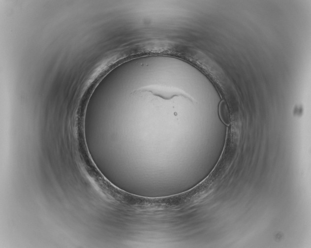 X0000093560626200710291020