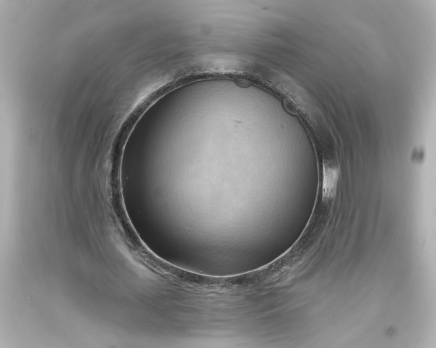 X0000093560627200710291020