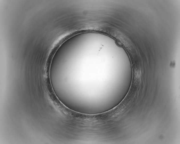 X0000093560628200710291020