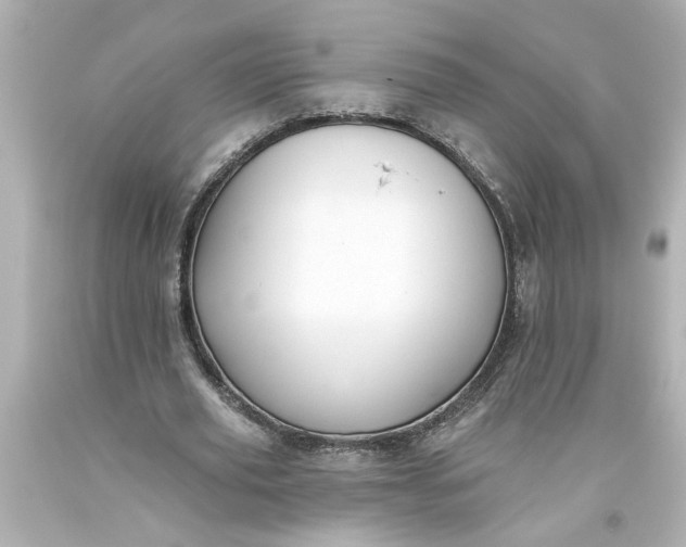 X0000093560629200710291020