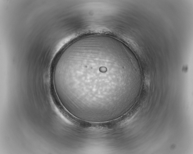 X0000093560630200710291020