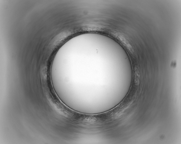 X0000093560631200710291020