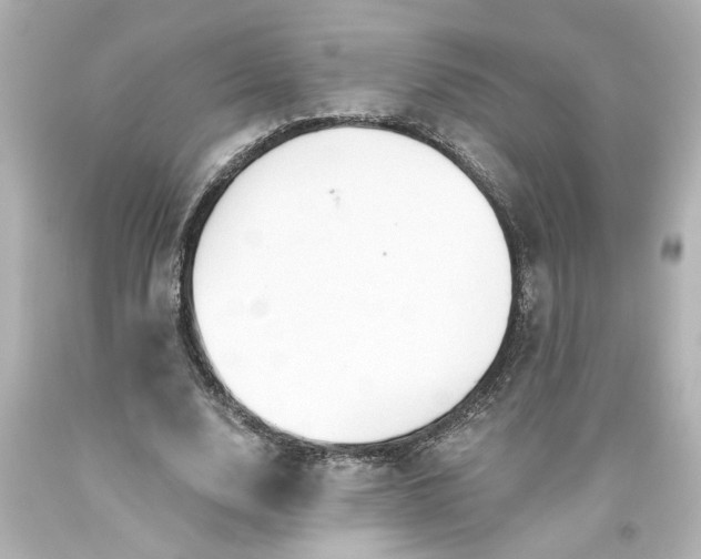 X0000093560632200710291020