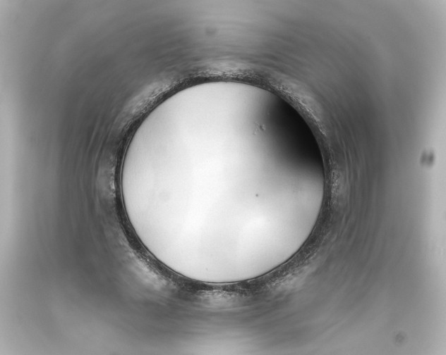 X0000093560633200710291020