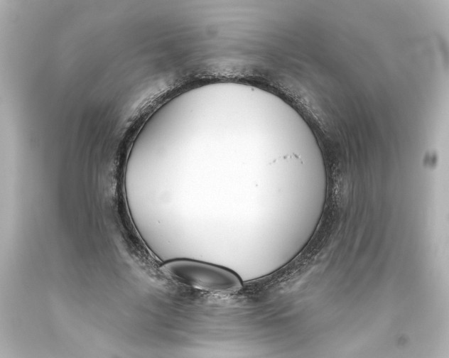 X0000093560635200710291020